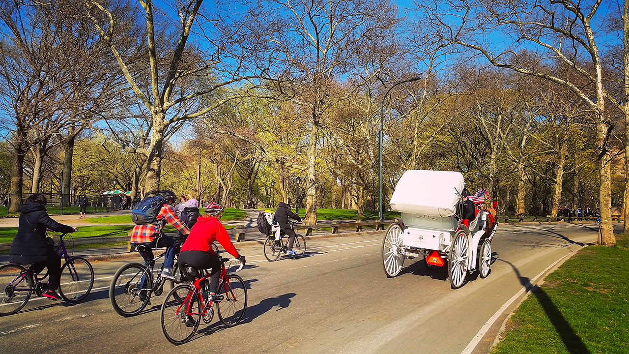 New York en famille : guide essentiel pour des vacances réussies